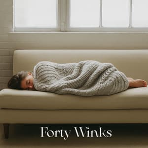 Forty Winks - Melatonin Monk