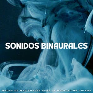 Sonidos Binaurales: Ondas De Mar Suaves Para La Meditación Guiada - Armonía de Reiki