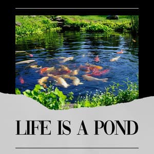 Life Is a Pond - Nature Label