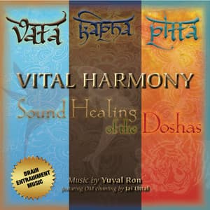 Vital Harmony: Sound Healing of the Doshas - Yuval Ron