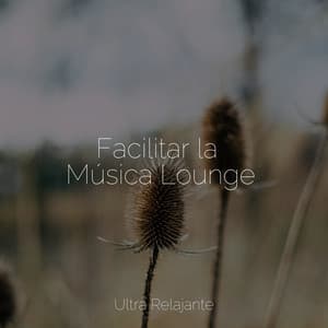 Facilitar la Música Lounge - Dormir e Meditar