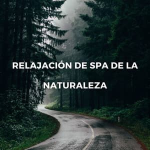 Calma En El Santuario De La Montaña: Relajación De Spa De La Naturaleza - Habitos Saludables