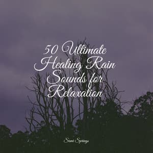 50 Ultimate Healing Rain Sounds for Relaxation - Masters of Binaurality