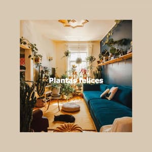 Plantas felices - Quiet Jazz Coffee House