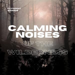 Calming Noises of the Wilderness - FX Forest Sounds