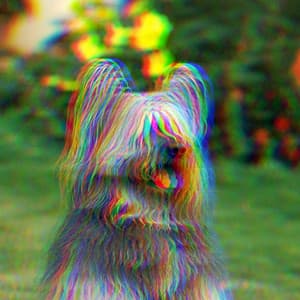 Cheerful Backdrop for Alert Doggy - Relaxing Dog Music Classics