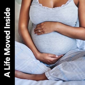 A Life Moved Inside - Womb Sound
