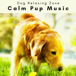 2 0 2 3 Calm Pup Music - Dog Relaxing Zone