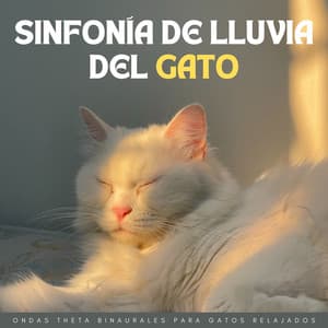 Sinfonía De Lluvia Del Gato: Ondas Theta Binaurales Para Gatos Relajados - The Unexplainable Store