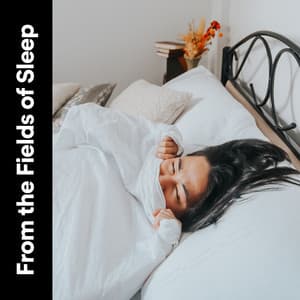 From the Fields of Sleep - Deep Sleep