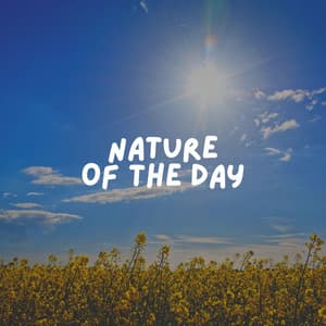 Nature of the Day - Sounds of the Forest