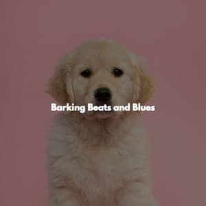 Barking Beats and Blues - Weekend Jazz Chill