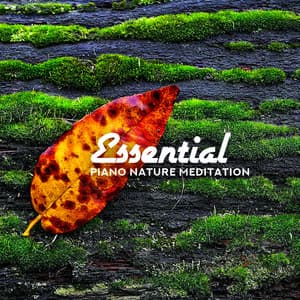 Essential Piano Nature Meditation - Nature Soothing Melodies