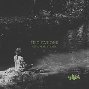 Meditations on a Mossy Bank - Piano Music Spa