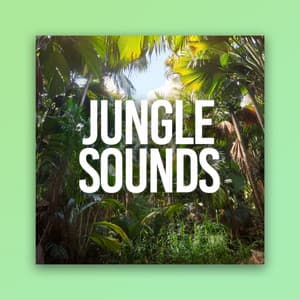 Jungle Sounds - Jungle Sounds