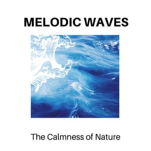 Melodic Waves - The Calmness of Nature - Calm Music