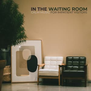 In the Waiting Room. Calm Music for Impatient Visitors. - Balanced New Age Rhythms