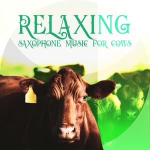 Relaxing Saxophone Music for Cows - Relax Time Zone