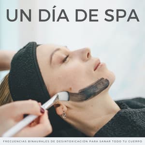 Un Día De Spa: Frecuencias Binaurales De Desintoxicación Para Sanar Todo Tu Cuerpo - Las leyendas de la música spa