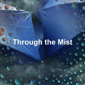 Through the Mist - The Rain Library