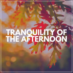 Tranquility of the Afternoon - Relaxation