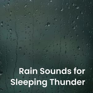 Rain Sounds for Sleeping Thunder - Natural Woodland Sounds