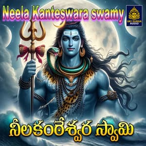Neela Kanteswara swamy - Vadlakonda Anil Kumar