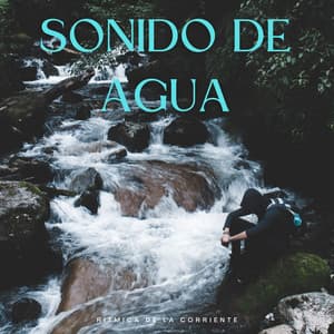 Sonido De Agua Rítmica De La Corriente - Sonidos de corrientes de agua blanda