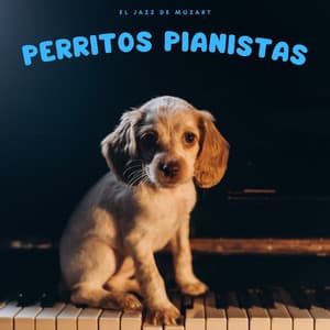Perritos Pianistas: El Jazz De Mozart - Musica Relajante De Piano Genial