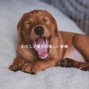 わたしと愛犬の楽しい音楽 - Musica Rilassante & Benessere