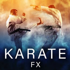Karate FX - Sound Ideas