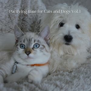 Pacifying Rain for Cats and Dogs Vol. 1 - Relaxing Music for Dogs