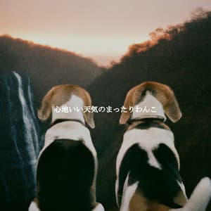 心地いい天気のまったりわんこ - Classy Lounge Playlist