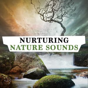 Nurturing Nature Sounds - Nature Sounds Relaxing