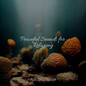 Peaceful Sounds for Relaxing - Dormir