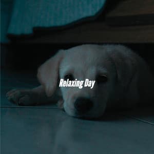 Relaxing Day - Morning Brunch Music