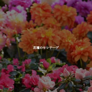 花壇のセレナーデ - Jazz Moderna para Cafeterías