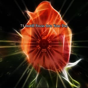 71 Instill Focus Into Your Day - Relaxing Music Moods
