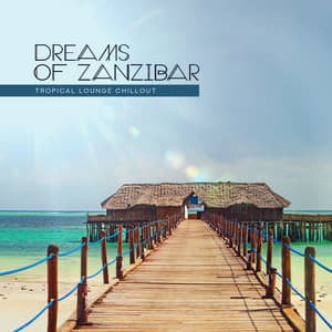 Dreams of Zanzibar: Tropical Lounge Chillout - Balearic Summer Time, Cocktail Bar Music - Summer Experience Music Set