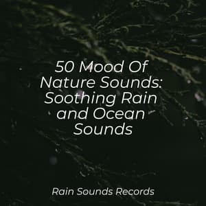50 Mood Of Nature Sounds: Soothing Rain and Ocean Sounds - Lightning, Thunder and Rain Storm
