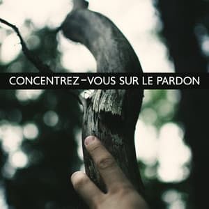 Concentrez-vous sur le pardon: Pardonner pour se sentir plus léger, Musique de méditation pour vous aider à pardonner aux autres - Musique pour Détendre en Temps Libre