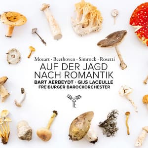 Auf der Jagd nach Romantik - Bart Aerbeydt