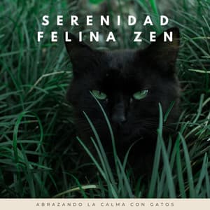 Serenidad Felina Zen: Abrazando La Calma Con Gatos - Effectum