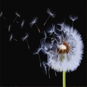 The Wind and the Rain - Deep Meditation Sleep