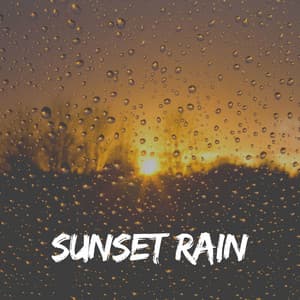 Sunset Rain - Sample Rain Library