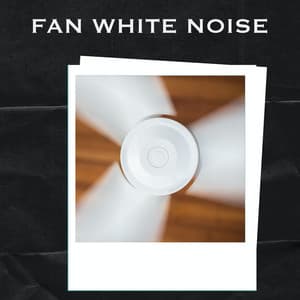Fan White Noise - Fan White Noise