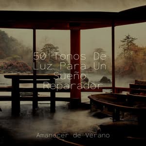 50 Tonos De Luz Para Un Sueño Reparador - Musica para Meditar