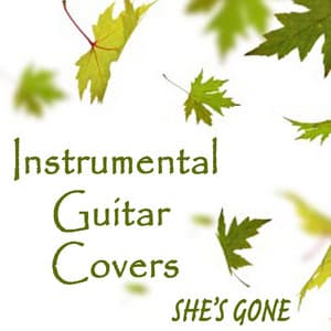 Instrumental Guitar Covers - She's Gone - Steve Petrunak