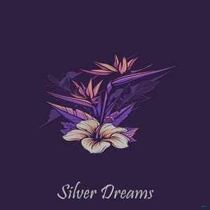 Silver Dreams - Evme