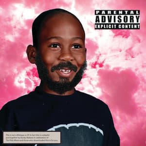 PINK SUMMER - Bucky Malone